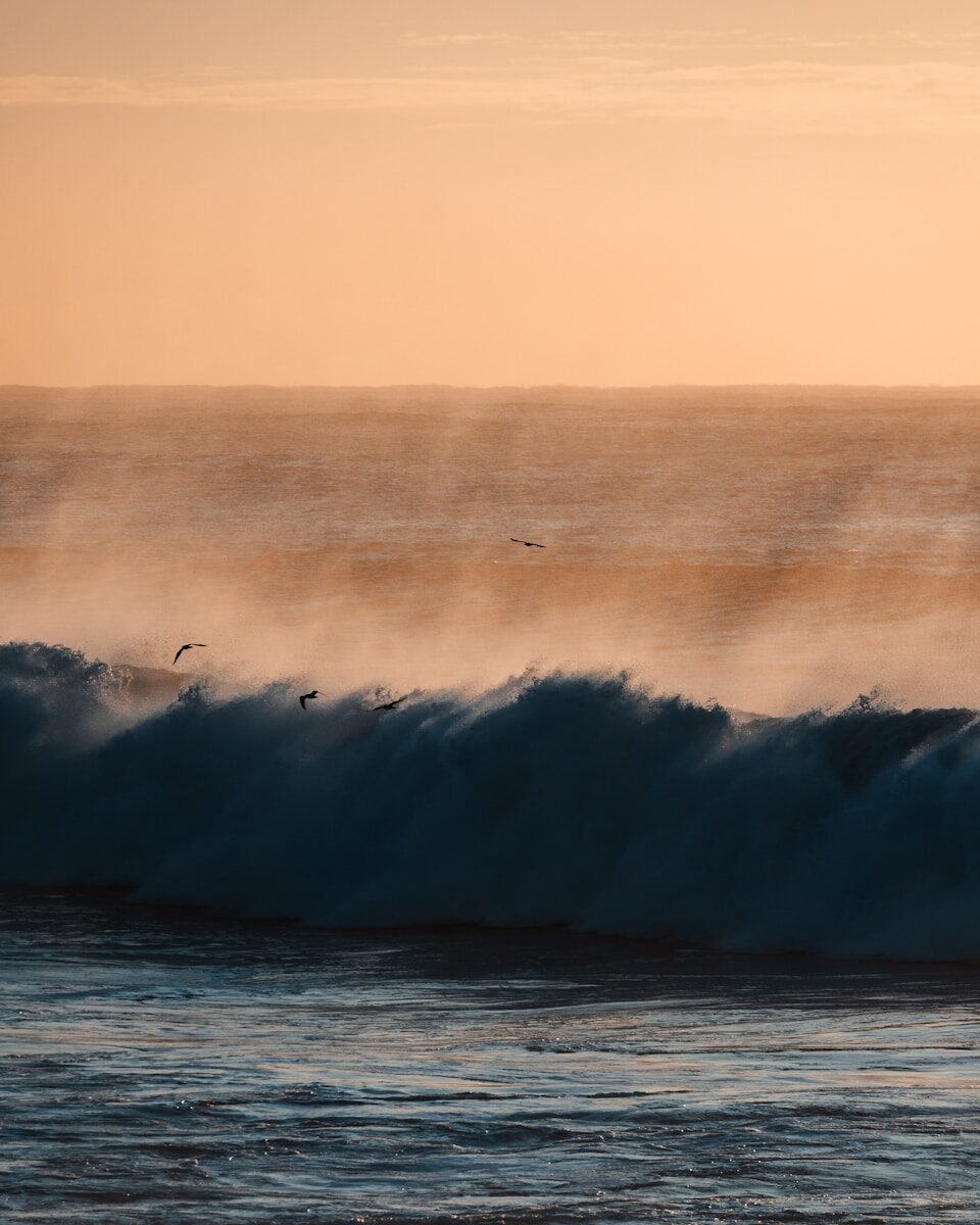 Consumer Financial Education